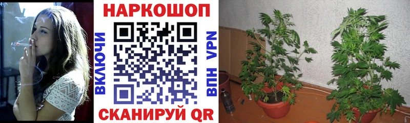 Где купить наркоту Туймазы Cocaine  Меф  блэк спрут ссылка  Бошки Шишки  ГАШИШ 