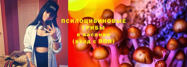 первитин Алексин