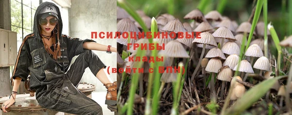 первитин Алексин