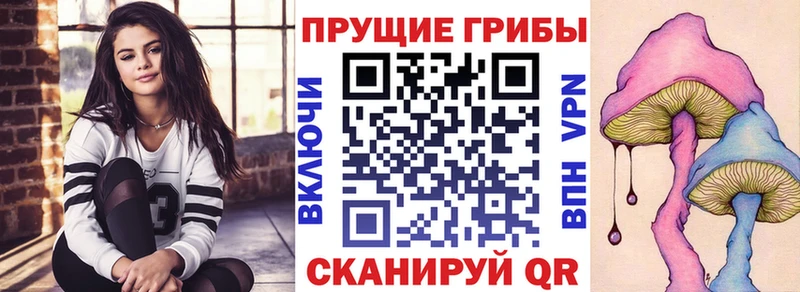 MEGA сайт  Туймазы  Галлюциногенные грибы Psilocybe 
