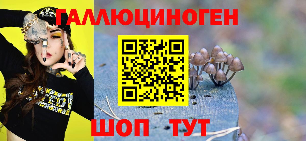Галлюциногенные грибы Psilocybe  Вход с VPN  Туймазы 